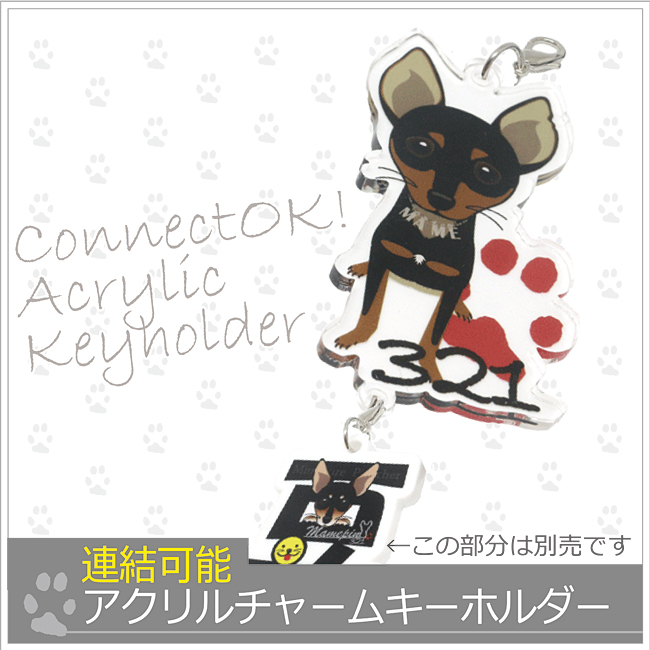 *アクリルチャームキーホルダー*チャームと連結可能の画像