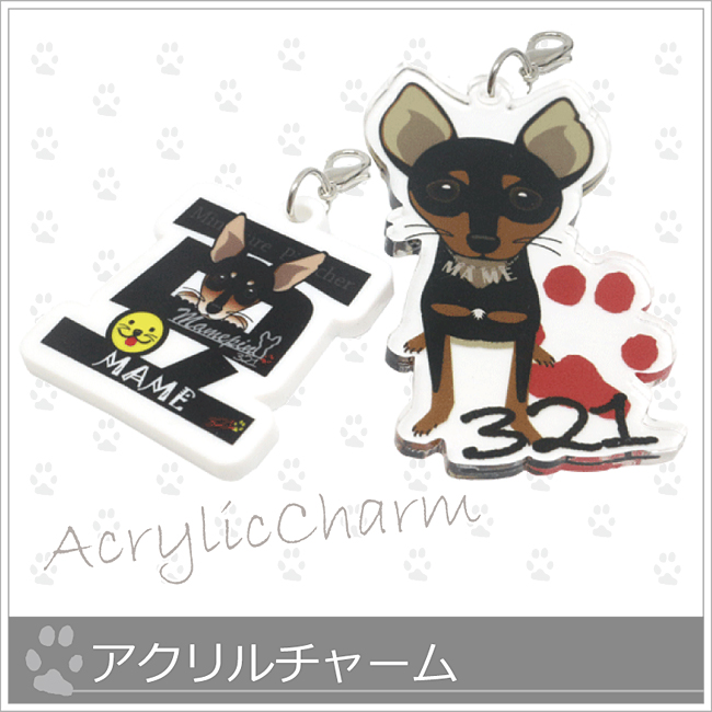*アクリルチャーム*3cmサイズの形も可能の画像