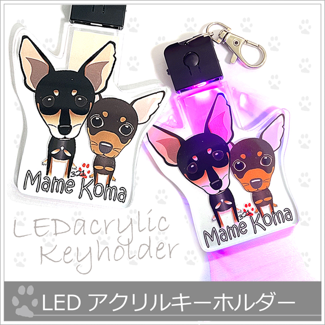 *アクリルLEDキーホルダー*７色のライトアップが可能！の画像