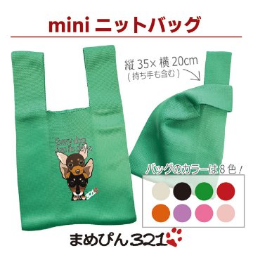 *miniニットバッグ*８色の画像