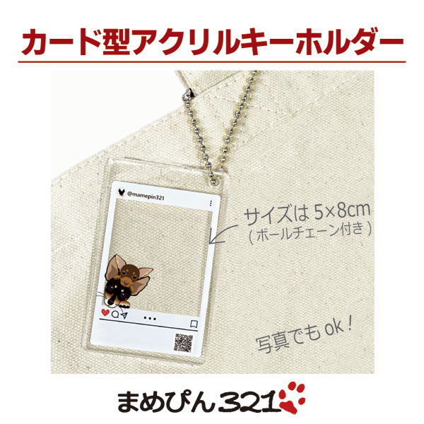 *カード型アクリルキーホルダー*【片面印刷】*イラストor写真OKの画像