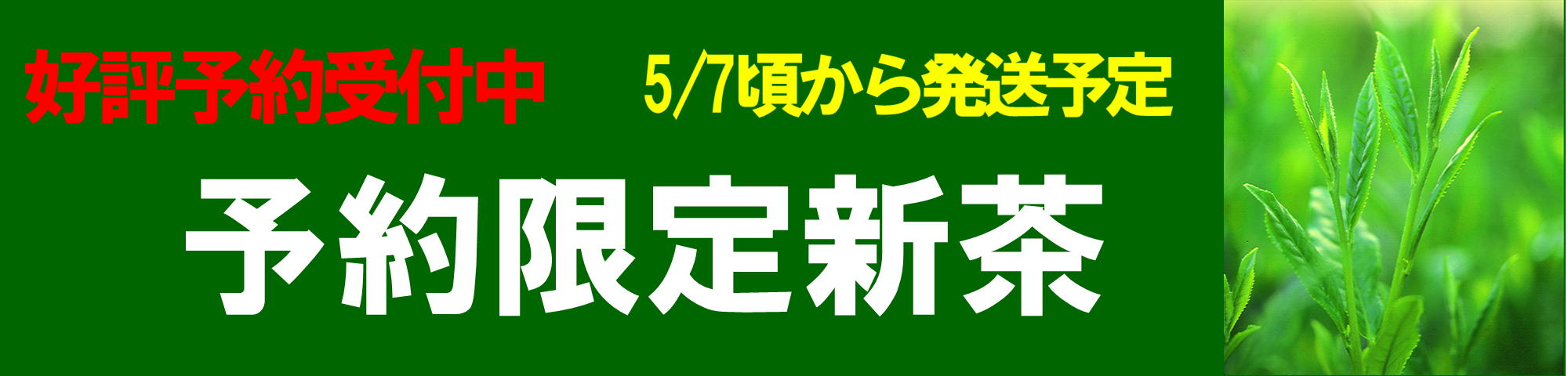 新茶予約