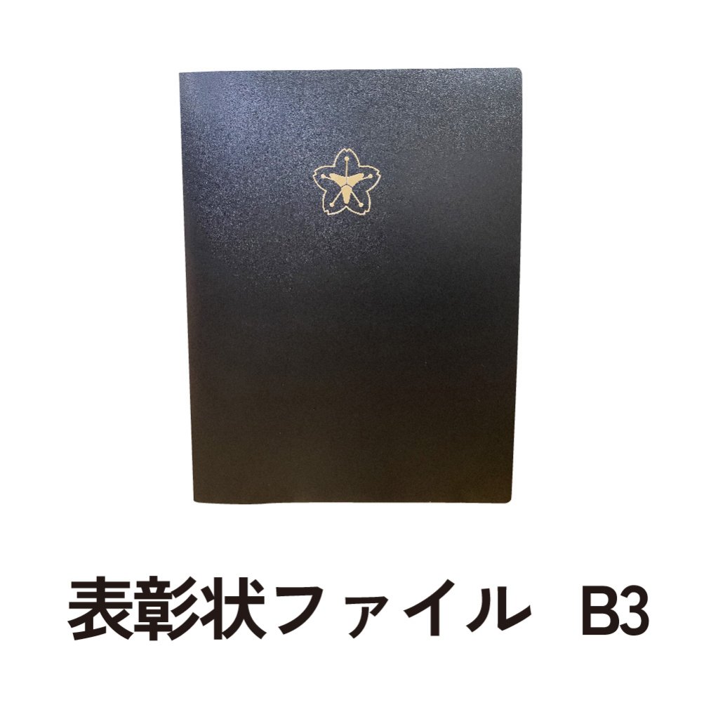 表彰状ファイル　B3タテ　10ポケットの画像