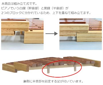 全音 木琴 ZX22K 22音 ばち付き 半音階あり 卓上 コンパクト シロフォン 子ども向け ゼンオンの画像