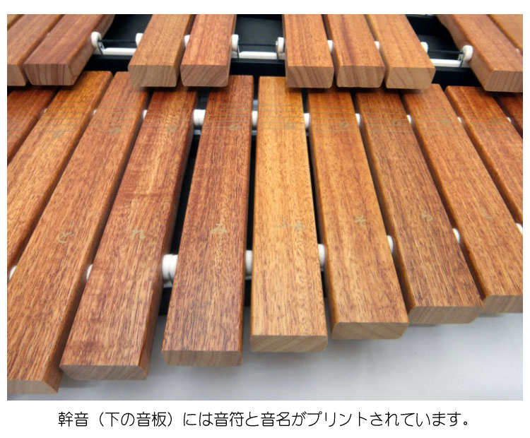 スタンド＆ケース付 卓上木琴 自宅練習・教育用  ZX32BK ばち付 ゼンオン 全音 ZX-32BKの画像