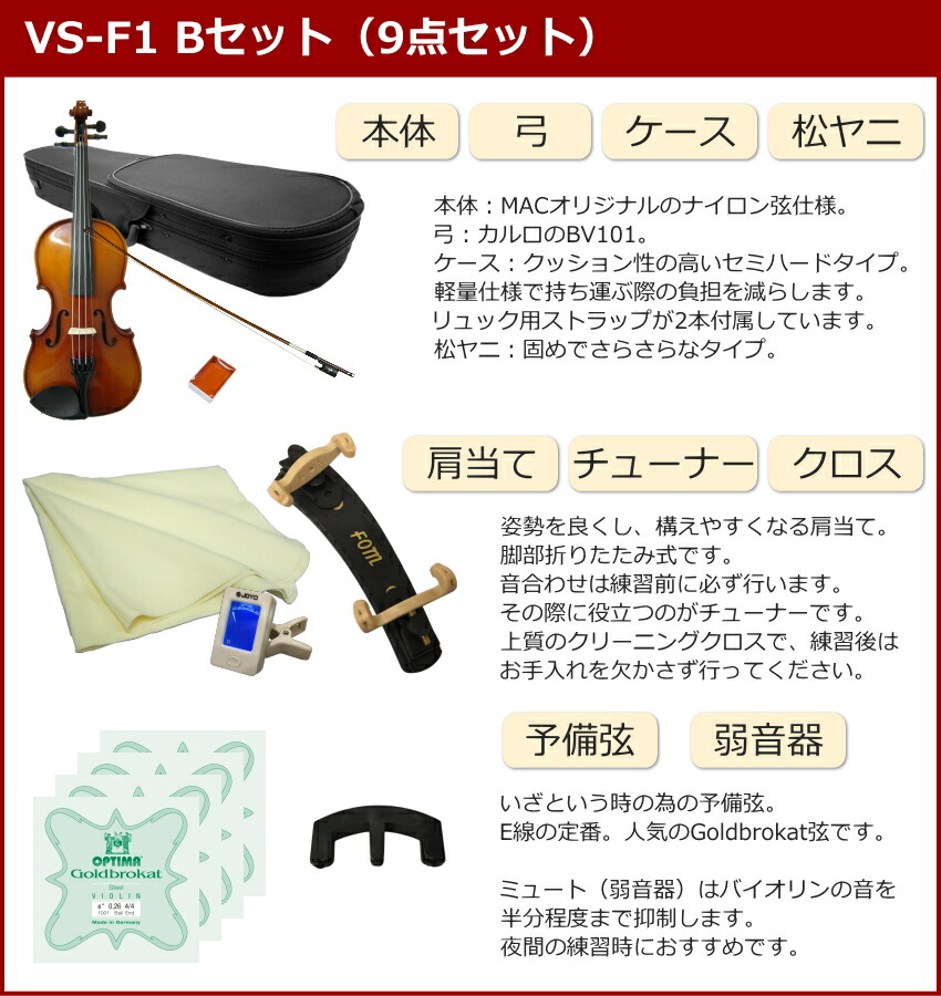 初心者向け バイオリン 調整後出荷 VS-1 1/10サイズ 9点セット 分数サイズ カルロジョルダーノの画像