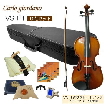 初心者向け バイオリン 調整後出荷 VS-F1 1/10サイズ 9点セット 分数サイズ カルロジョルダーノの画像