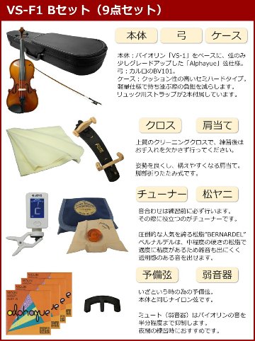 初心者向け バイオリン 調整後出荷 VS-F1 1/10サイズ 9点セット 分数サイズ カルロジョルダーノの画像