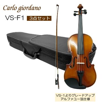 初心者向け バイオリン 調整後出荷 VS-F1 1/2サイズ シンプルセット 3点セット 分数サイズ カルロジョルダーノの画像