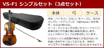 初心者向け バイオリン 調整後出荷 VS-F1 1/2サイズ シンプルセット 3点セット 分数サイズ カルロジョルダーノの画像