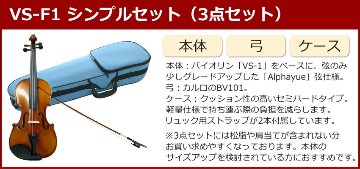 初心者向け バイオリン みずいろケース 調整後出荷 VS-F1 1/2サイズ シンプルセット 3点セット 分数サイズ カルロジョルダーノの画像