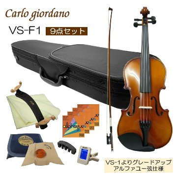 初心者向け バイオリン 調整後出荷 VS-F1 1/2サイズ 9点セット 分数サイズ カルロジョルダーノの画像