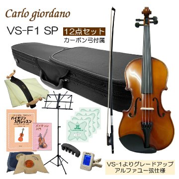 初心者向け バイオリン 調整後出荷 VS-F1 4/4サイズ カーボン弓付属 12点セット 大人サイズ カルロジョルダーノの画像