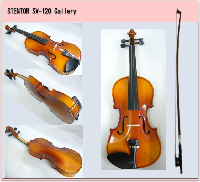 バイオリン 初心者 ステンター SV-120 4/4 入門 9点セット STENTORの画像