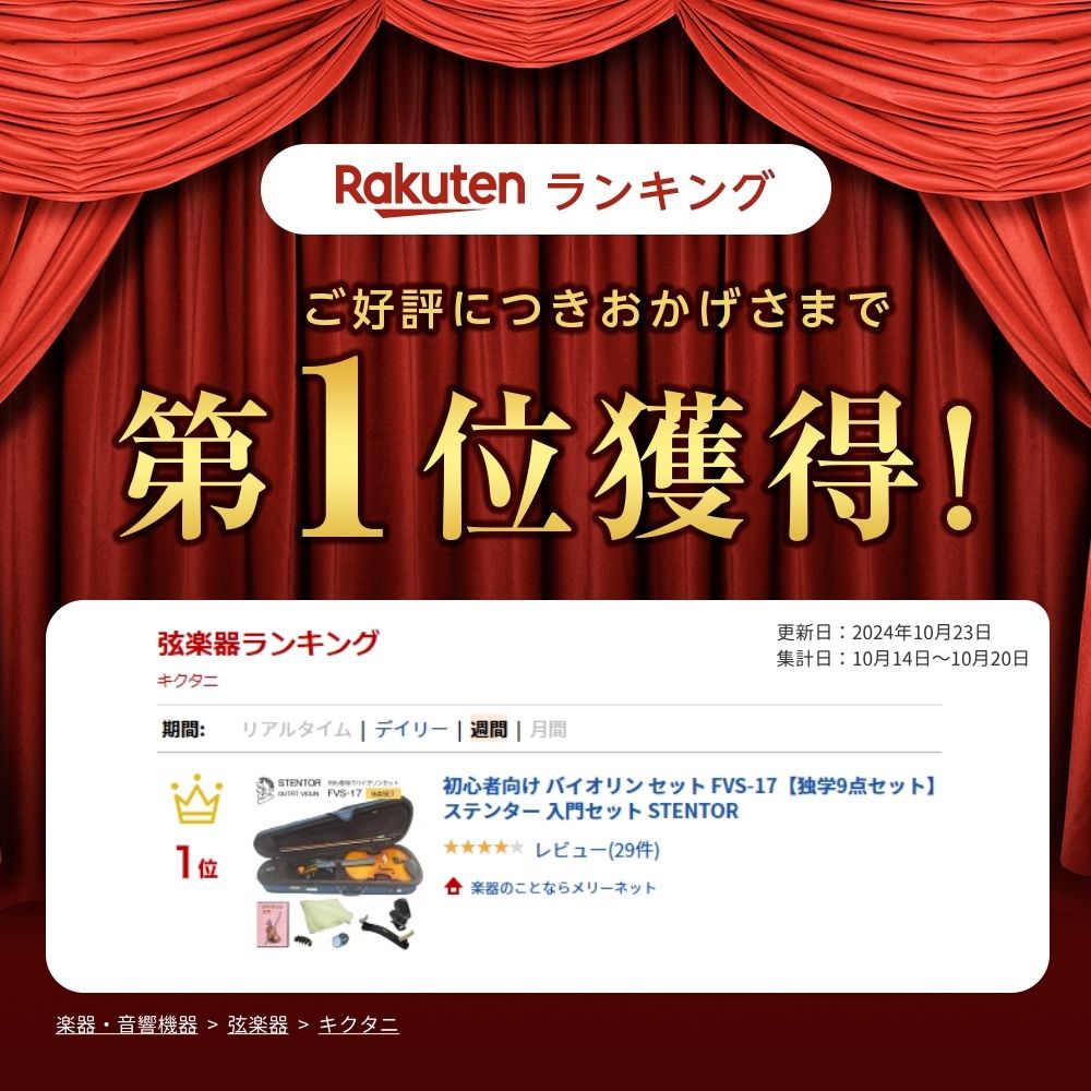 初心者向け バイオリン セット FVS-17【独学9点セット】ステンター 入門セット STENTORの画像