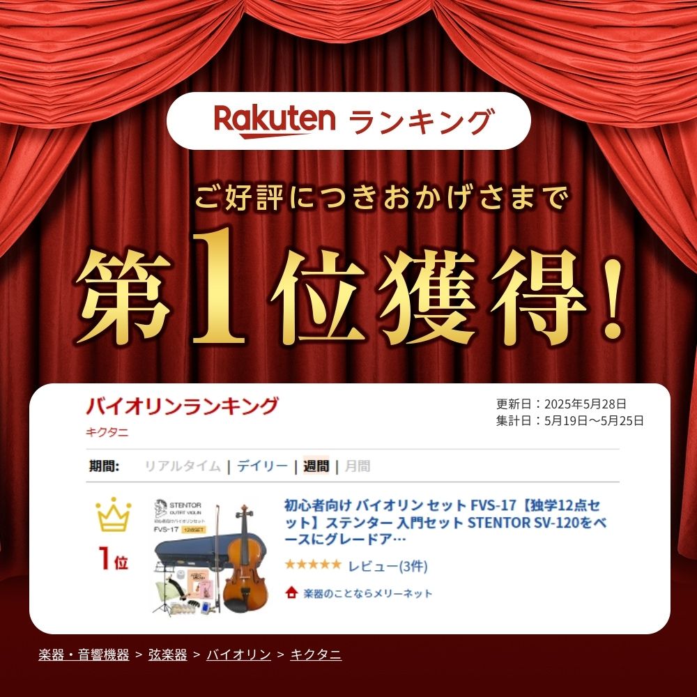 初心者向け バイオリン セット FVS-17【独学12点セット】ステンター 入門セット STENTORの画像