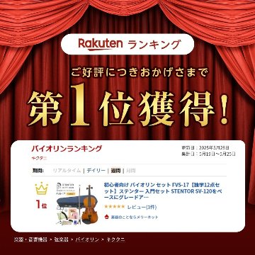 初心者向け バイオリン セット FVS-17【独学12点セット】ステンター 入門セット STENTORの画像