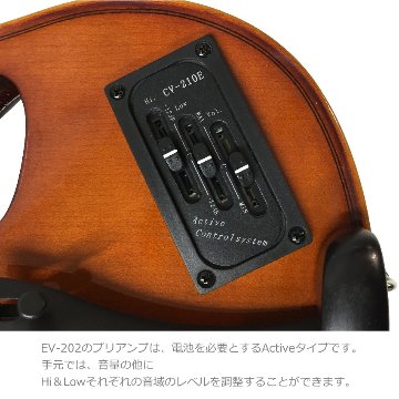 エレキバイオリン EV-202 NA ブラウン カルロジョルダーノ「カーボン弓＆クリップチューナー付き11点セット」の画像