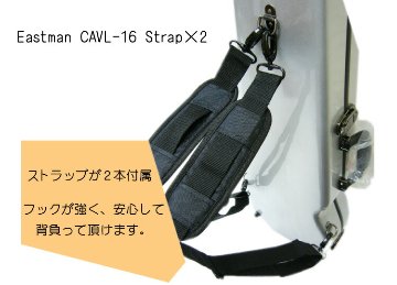 イーストマン バイオリンケース 「レインブルー×グレイフレーム」CAVL16/定番 バイオリン ハードケース CAVL-16 EASTMANの画像