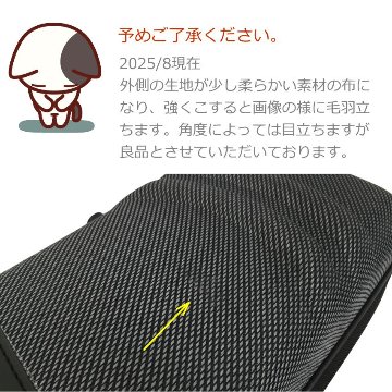 古月：二胡用セミハードケース NKC-02（NKC02)の画像