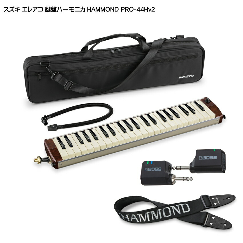スズキ エレアコ鍵盤ハーモニカ HAMMOND PRO-44Hv2 ストラップ/WL20付 SUZUKIの画像