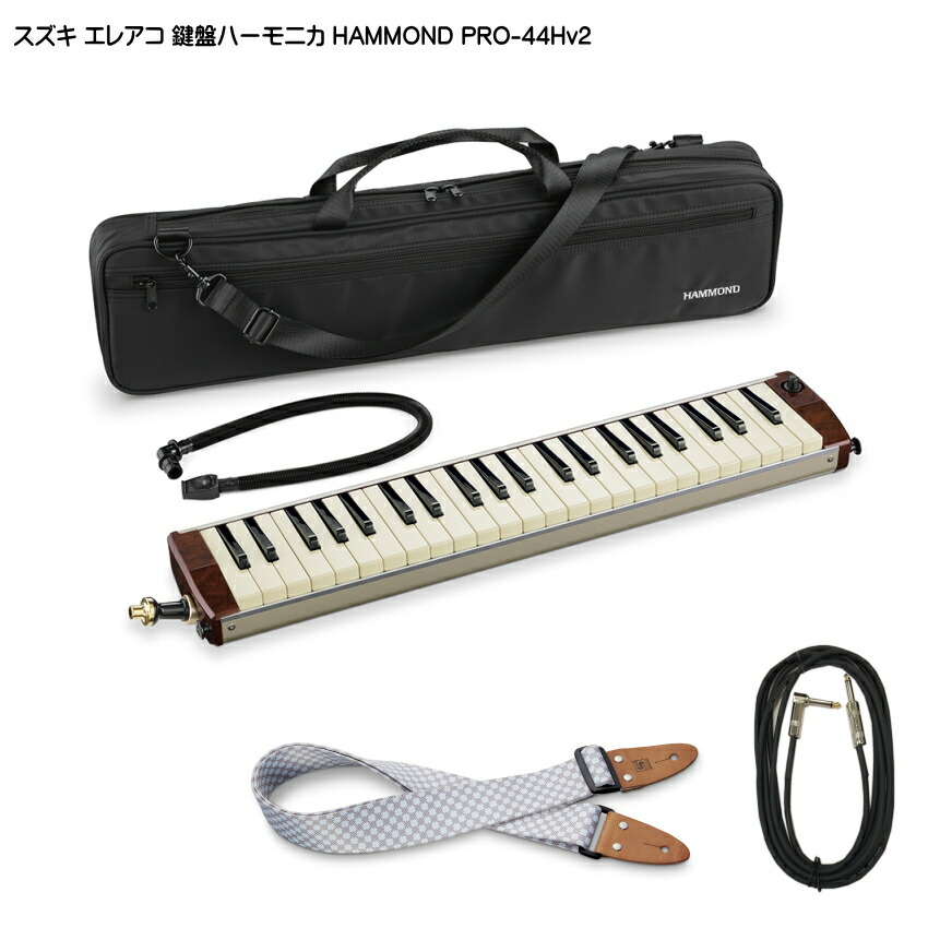 スズキ エレアコ鍵盤ハーモニカ HAMMOND PRO-44Hv2 ストラップ/ケーブル付 SUZUKIの画像