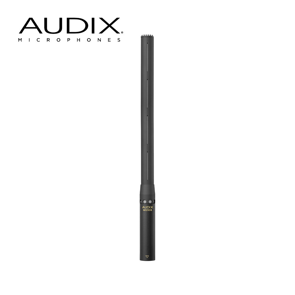 AUDIX ショットガンマイク M1250BSの画像