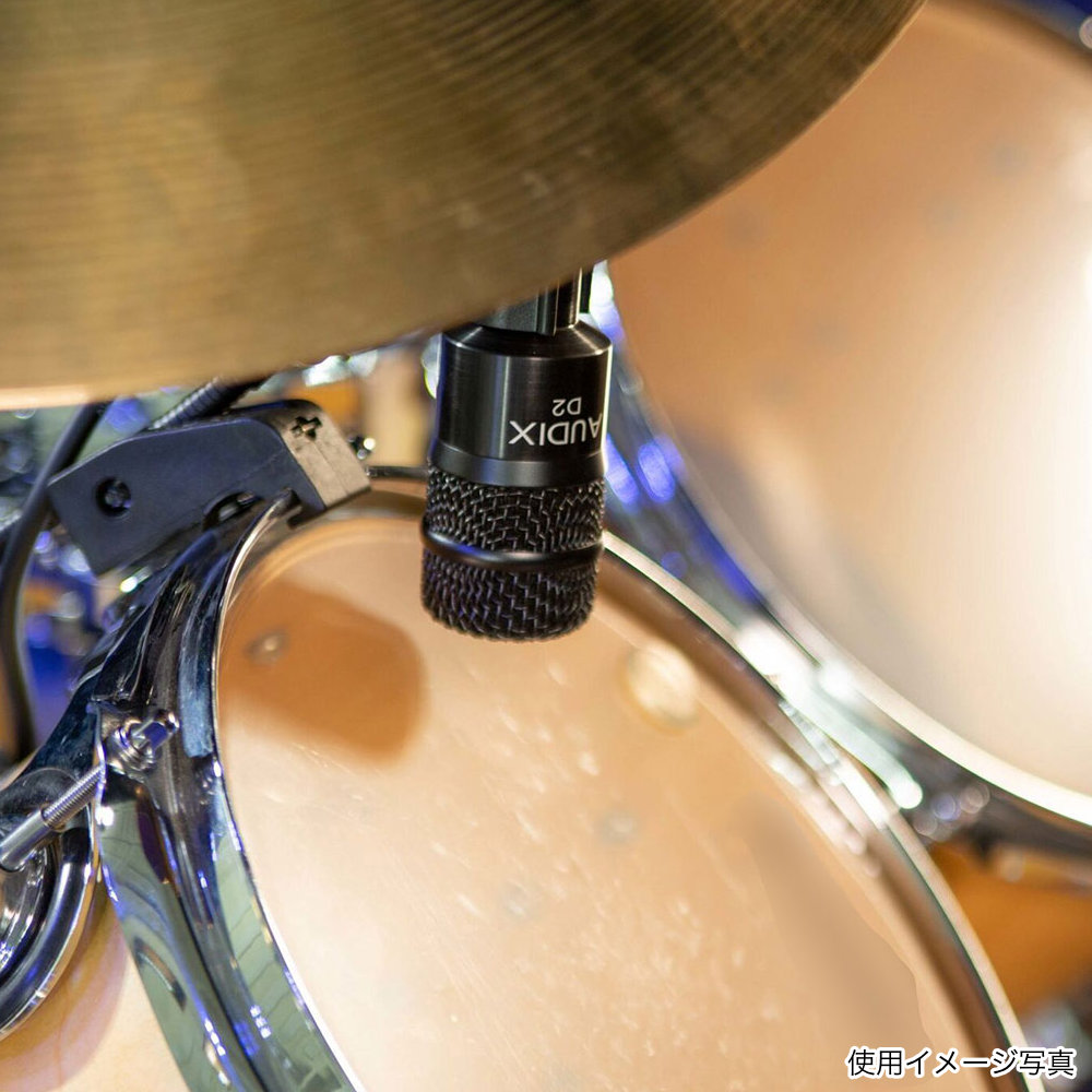 AUDIX 楽器用ダイナミックマイク D2の画像