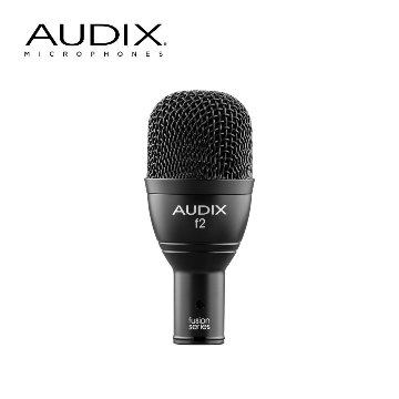 AUDIX 低音楽器用 ダイナミックマイク f2の画像