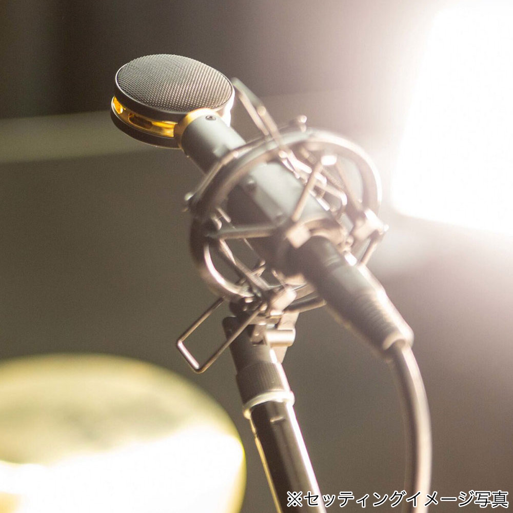 AUDIX スタジオ用マイクセット Studio Elite8の画像