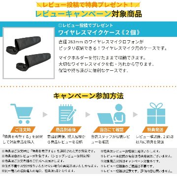SOUNDPURE サウンドピュア 8011II ワイヤレスマイク2本 SP-W-H01 ハーフラック2ch受信機 B帯 800MHz 10～15時間連続使用 スプリアス規定新規定取得済みの画像