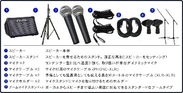 簡易PAセット 出力50W Roland Cube Street EX(スピーカースタンド/マイク２本付き)の画像