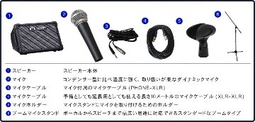 Roland ローランド CUBE STREET EX 有線マイク1本＋スピーカーケース付きセットの画像