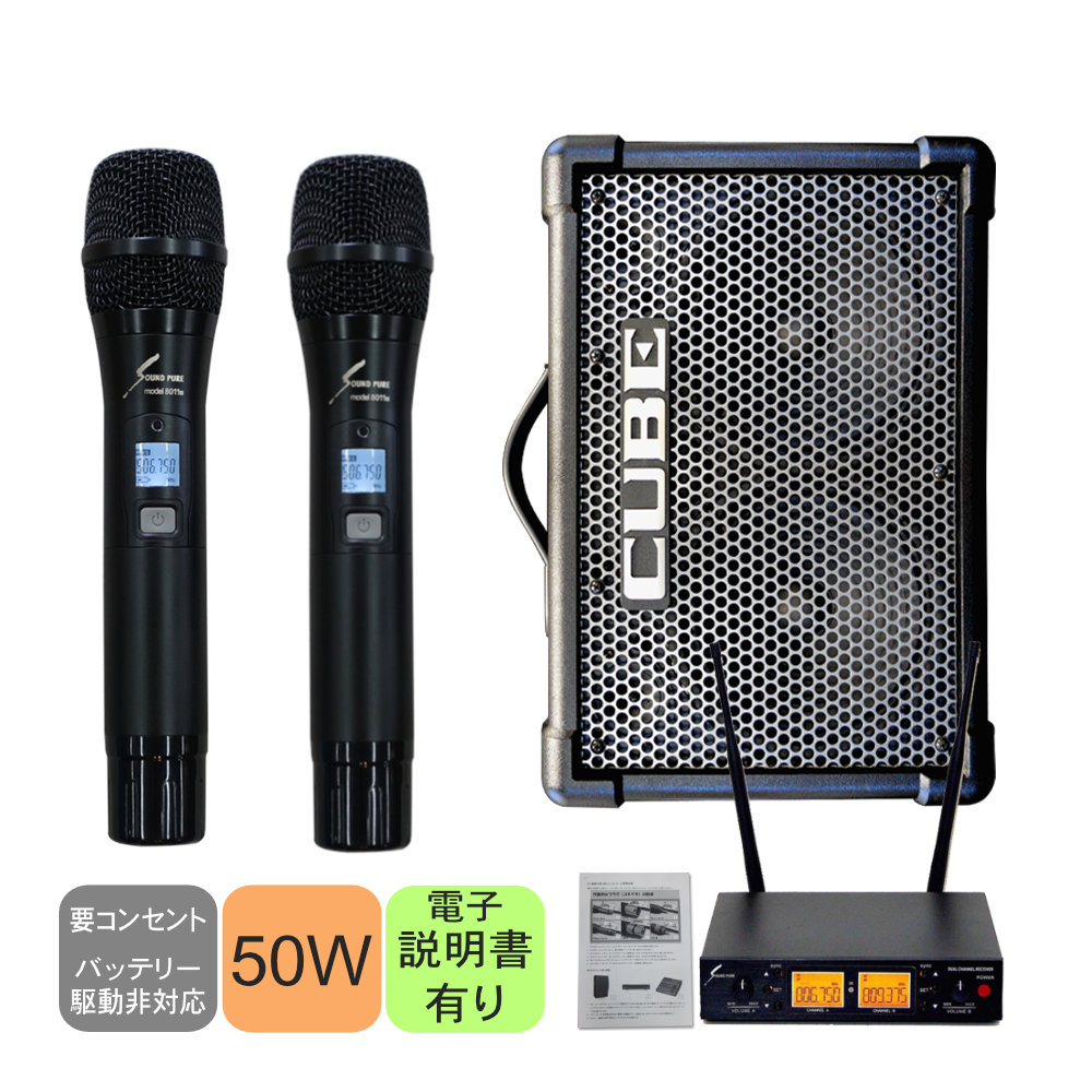 ワイヤレスマイク2本付き Roland CUBE STREET EX 簡易PAセットの画像
