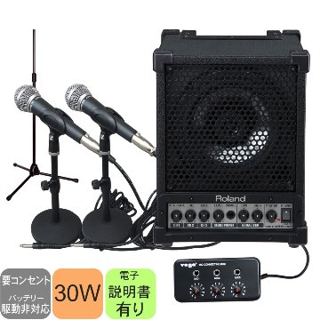お得な有線マイク２本・出力30W　簡易PAセット クリアーな音質の多目的スピーカーローランド CM-30の画像
