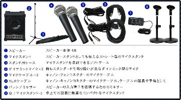 お得な有線マイク２本・出力30W　簡易PAセット クリアーな音質の多目的スピーカーローランド CM-30の画像