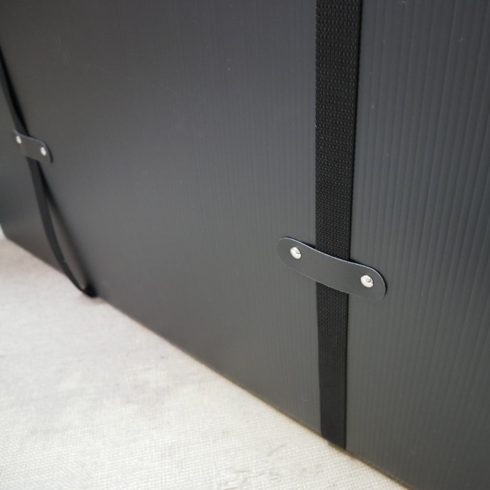 Alesis アレシス PA SYSTEM IN A BOX BUNDLE スピーカー x2 パワードミキサー x1 収納可能 A式プラダンケース 830 x 410 x 580mmの画像