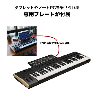 ACアダプター付き■KORG MIDIキーボード Keystage 49 49鍵盤 USB MIDI コルグの画像