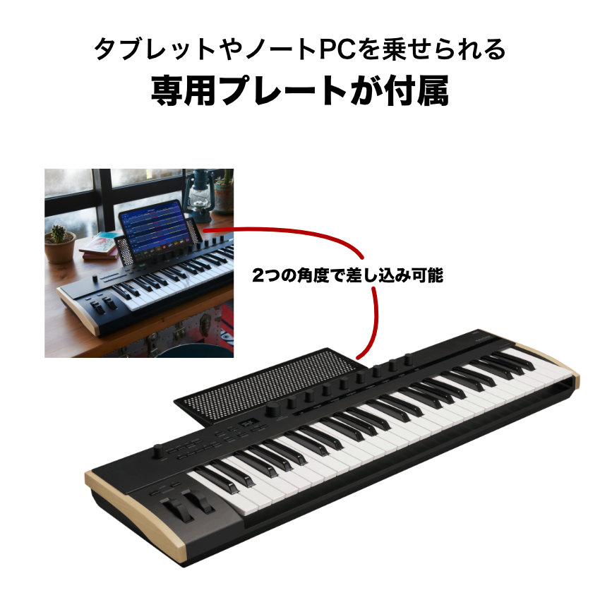 ケース付き■KORG MIDIキーボード Keystage 49 49鍵盤 USB MIDI コルグ ライブにの画像