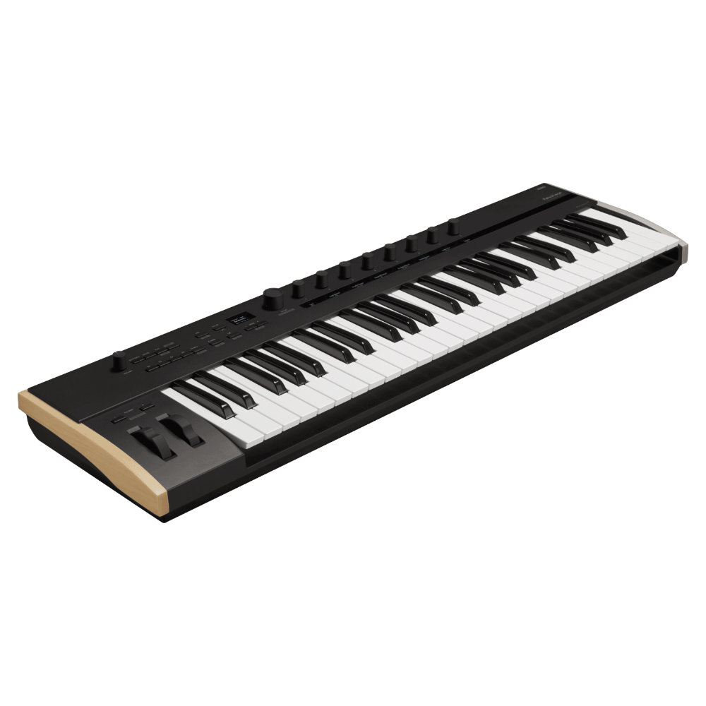 ペダルセット■KORG MIDIキーボード Keystage 49 49鍵盤の画像