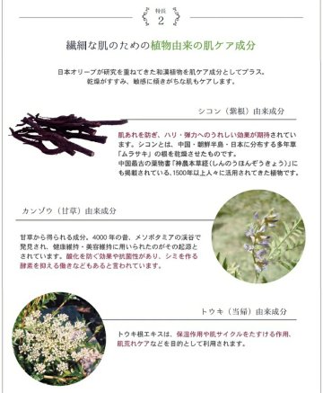 オリーブマノン ラグラシアオイル 美容オイル 導入オイルの画像