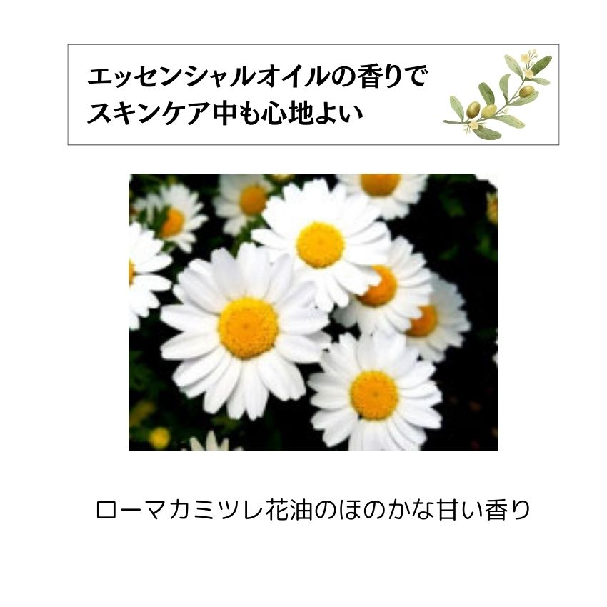 グリーンローション（果汁水）　180ml 化粧品 保湿 乾燥肌 敏感肌 スキンケア 自然派コスメ 日本製 ギフト プレゼント 母の日 敬老の日 誕生日プレゼントの画像