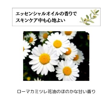グリーンローション（果汁水）　180ml 化粧品 保湿 乾燥肌 敏感肌 スキンケア 自然派コスメ 日本製 ギフト プレゼント 母の日 敬老の日 誕生日プレゼントの画像