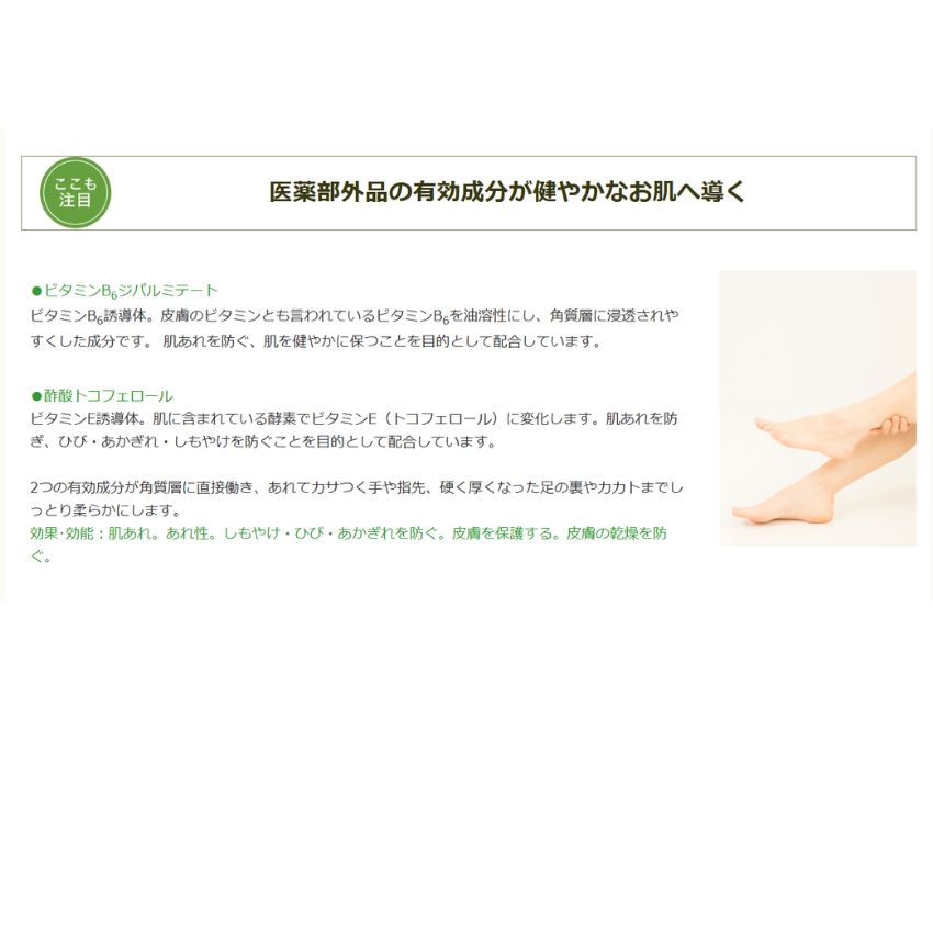 シコリーブ薬用スキンクリーム　180ｇ 化粧品 保湿 乾燥肌 敏感肌 スキンケア 自然派コスメ 日本製 ギフト プレゼント 母の日 敬老の日 誕生日プレゼントの画像