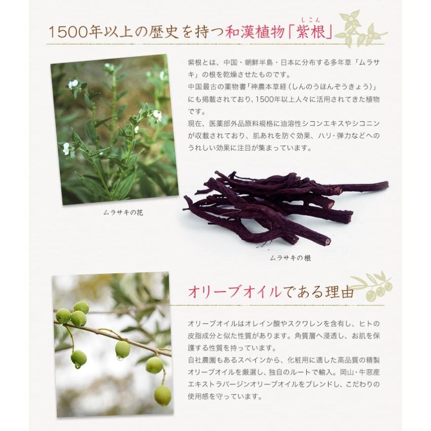 シコリーブ薬用スキンクリーム 80g 化粧品 保湿 乾燥肌 敏感肌 スキンケア 自然派コスメ 日本製 ギフト プレゼント 母の日 敬老の日 誕生日プレゼントの画像