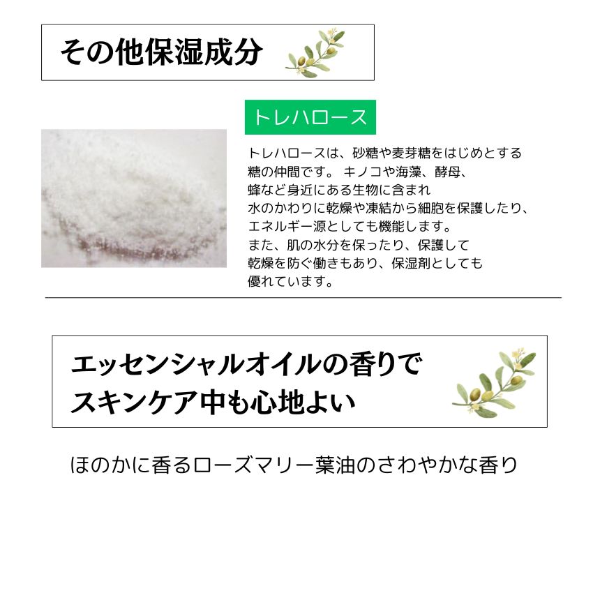 オリーブリーフローション（銀葉水）化粧品 保湿 乾燥肌 敏感肌 スキンケア 自然派コスメ 日本製 ギフト プレゼント 母の日 敬老の日 誕生日プレゼントの画像