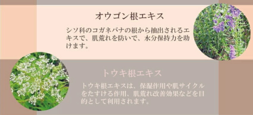 美白 保湿 日本オリーブ オリーブマノン うるおいホワイトパック 顔用パックの画像
