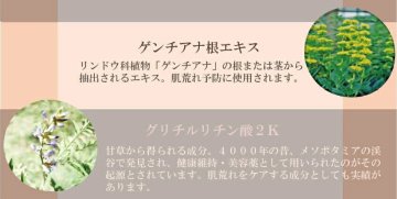 美白 保湿 日本オリーブ オリーブマノン うるおいホワイトパック 顔用パックの画像