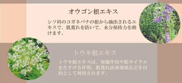 美白 保湿 日本オリーブ オリーブマノン うるおいホワイトパック 顔用パックの画像