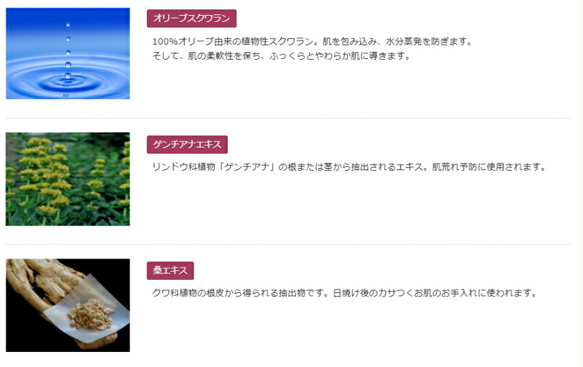 薬用美白化粧水 日本オリーブ 医薬部外品 透明感 潤い しっとり美肌へ シミ そばかす予防 保湿 美白ケアの画像